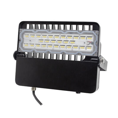 Hoge-efficiëntie buiten-LED-voorlicht 100W 48V DC